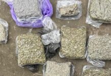 У Запоріжжі припинено діяльність злочинного угрупування, яке збувало наркотичні засоби