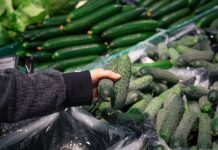 Секрет 14 днів свіжості: помилка, яку робить кожен другий при зберіганні огірків