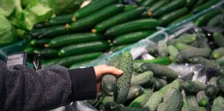 Секрет 14 днів свіжості: помилка, яку робить кожен другий при зберіганні огірків