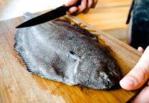 Ця маловідома риба корисніша за лосося: містить багато білка та мало калорій