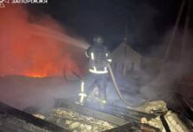 У Запорізькому районі на пожежі загинула людина
