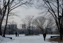 Потепління з нюансами: яка погода буде в Україні завтра й коли знову вдарять морози