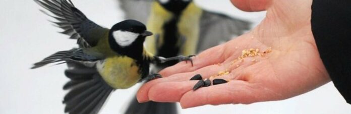 znimok-ekrana-2026-02-13-210858_698f771fcaadc