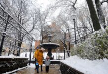 До -25 та різке потепління: детальний прогноз погоди в Україні на тиждень (карти)