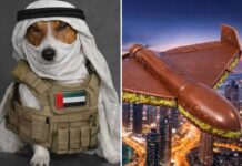 Українці вибухнули жартами через Іран: психолог про “гумор шибеника” і чому це не цинізм