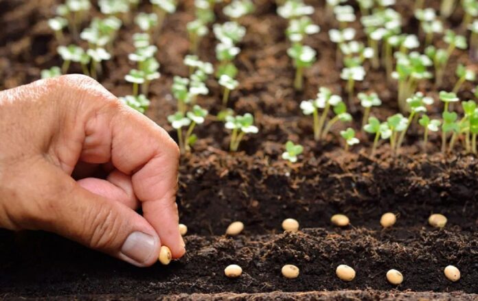 107f4980a163_a87985b4fe3e2a260b6127287b8f9dd1_1300x820