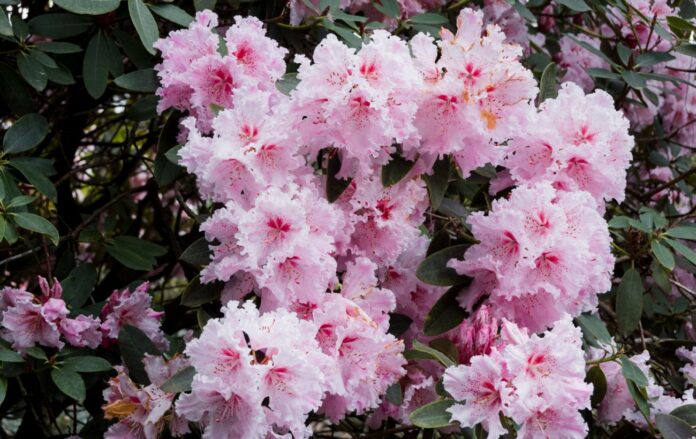 2147897709_ec53b29ed861ca81ade0ed4644f9ddeb_1300x820