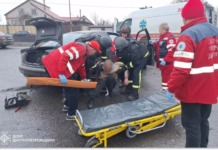 Синельниківський район: внаслідок ДТП постраждали 3 людей