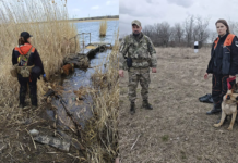 На Дніпропетровщині волонтери кінологічного загону «Антарєс» розшукали тіло зниклої 20-річної дівчини