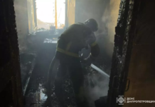 Нікопольський район: у побутовій пожежі загинула жінка