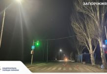 Поліція Запоріжжя розшукує свідків ДТП із травмованою пішохідкою