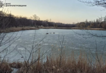 Надзвичайники Кривого Рогу врятували двох людей з замерзлої водойми