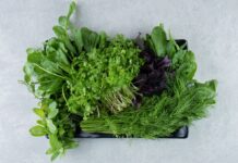 Ці 6 видів зелені варто їсти щотижня: користь для організму вражає