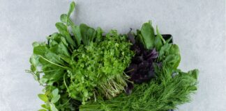 Ці 6 видів зелені варто їсти щотижня: користь для організму вражає
