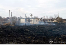 Кам’янський район: із сухої рослинності вогонь розповсюдився на господарську споруду