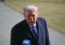 Трамп: Путін «готовий укласти угоду», Зеленський «має укласти угоду»