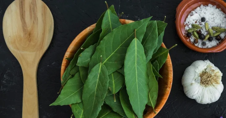 Забутий метод оздоровлення: як правильно використовувати лавровий лист для ароматерапії