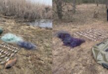 «Наловили» риби на понад 300 тисяч: у Самарівському районі затримали браконьєрів