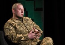 «Бачу амбітні плани Московщини» – заступник голови ОП Паліса про готовність РФ до миру