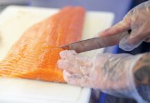 Сьомга чи форель: три головні відмінності, які допоможуть не переплатити в магазині