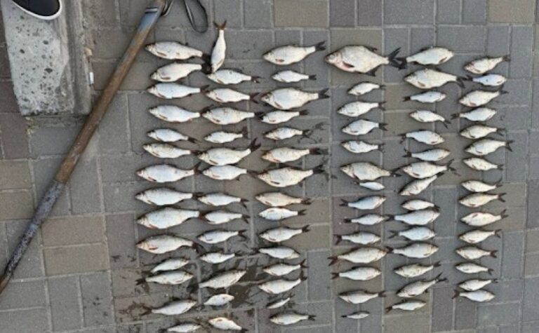 На Дніпропетровщині затримали рибалку, який перевищив дозволену  норму вилову