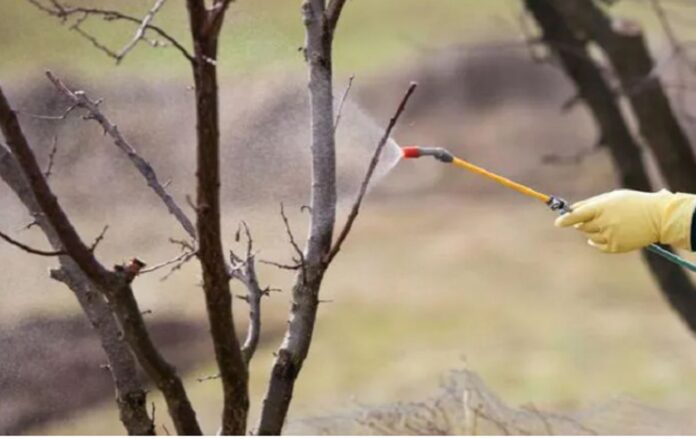 _f7467e39a20d439f020f1d7e061867a8_1300x820