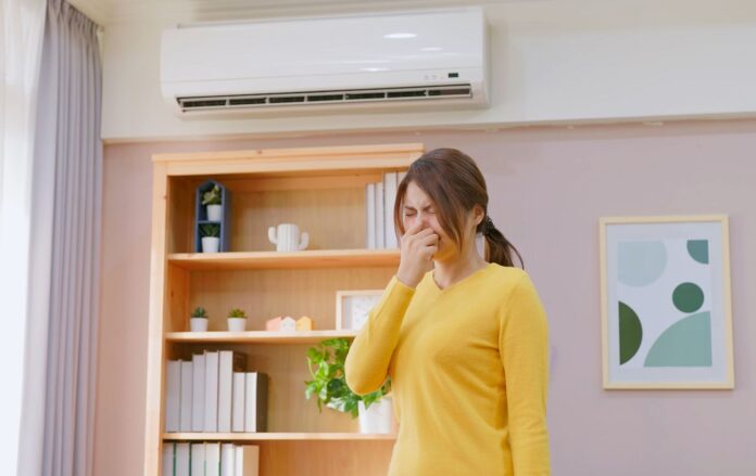 gettyimages_1466586138_1c9f50208a5452edddd857375f035943_1300x820