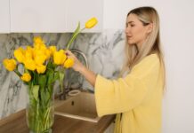 Жовті квіти – це розлука? Звідки взялася прикмета і що робити, якщо подарували