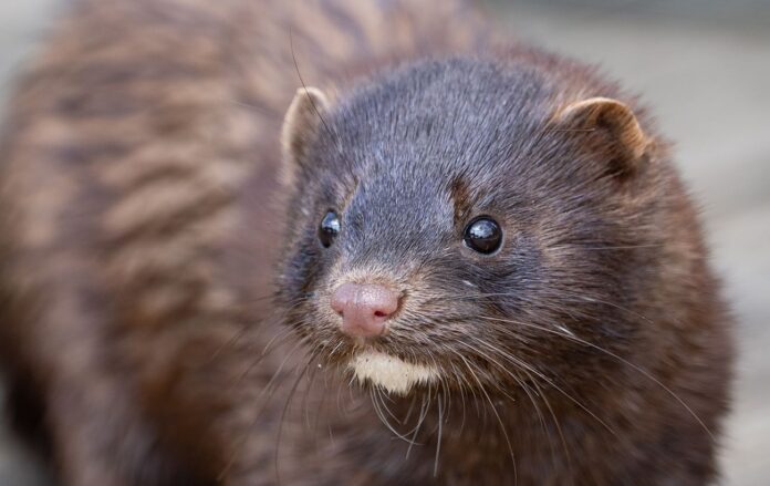 gettyimages_2231497461_2372b8a86b1a23e777208e4360137ded_1300x820