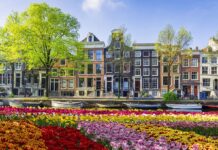 Нідерланди весною – це не тільки про музеї: 6 речей, які вас справді вразять
