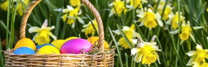 image-2_69c05504861be