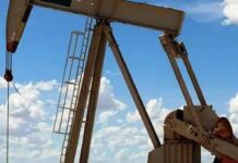 Україна серед нафтових держав світу: місце країни та потенціал її ресурсів