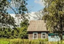 Ні продати, ні подарувати: чим ризикують власники будинків на неприватизованій землі