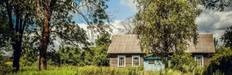 Ні продати, ні подарувати: чим ризикують власники будинків на неприватизованій землі