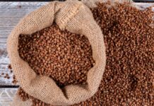 Врожай гречки впав на третину: що буде з цінами та чи варто робити запаси