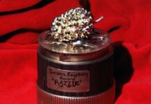 Антипремія “Золота малина 2026” назвала переможців: найбільше дісталося “Війні світів”