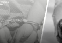 У Запоріжжі розпочато розслідування за фактами замаху на грабіж, погрози вбивством поліцейському та застосування вогнепальної зброї правоохоронцем