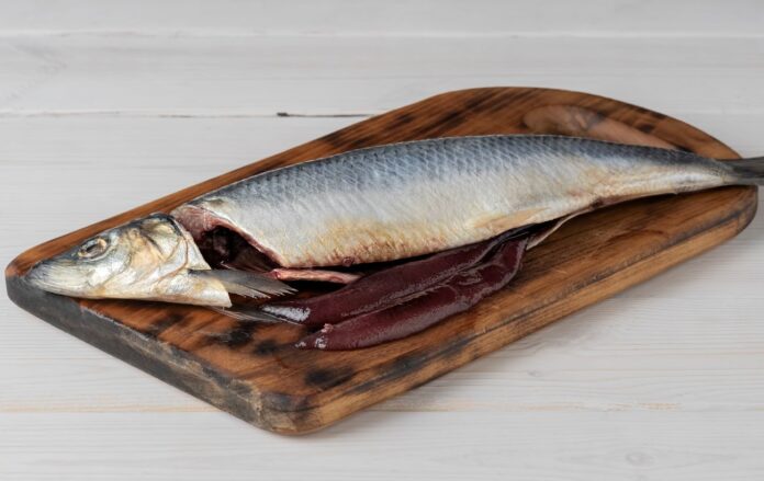 __oseledets_freepik__com_64dda622798fcd64f39123b211bc0a45_1300x820