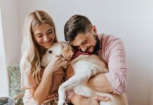 Топ-5 порід собак для новачків: ветеринар назвала найкращих улюбленців