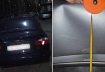 Скоїв наїзд та втік: патрульні Кривого Рогу оперативно розшукали водія, який залишив місце ДТП