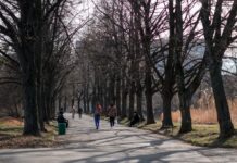 Засипле снігом чи ні? Чи готуватись українцям до небезпечної погоди найближчими днями