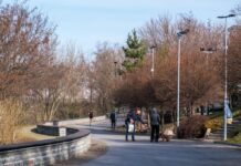 Прогріє до +18, але ще не літо: яка погода буде завтра і коли в Україні знову похолоднішає