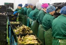 У Польщі компанії скорочують штат, безробіття зростає: що буде з роботою українців у 2026-му