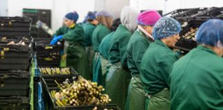 У Польщі компанії скорочують штат, безробіття зростає: що буде з роботою українців у 2026-му