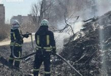 За минулу добу на Запоріжжі рятувальники ліквідували чотири пожежі в екосистемах