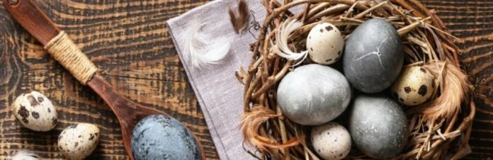 09daa6935bdbe3f311b697589541e15d-original_69d6b1734da9a