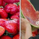 Кавуни і полуниця-2026: що буде з урожаєм та цінами в Україні