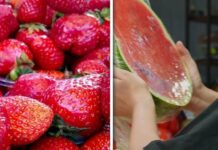 Кавуни і полуниця-2026: що буде з урожаєм та цінами в Україні