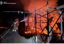 Синельниківський район: вогнеборці ліквідували займання на території приватного домоволодіння