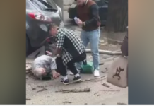 У центрі Дніпра гілка аварійного дерева впала на жінку: подробиці